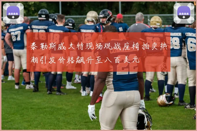 泰勒斯威夫特现场观战座椅拍卖热潮引发价格飙升至八百美元