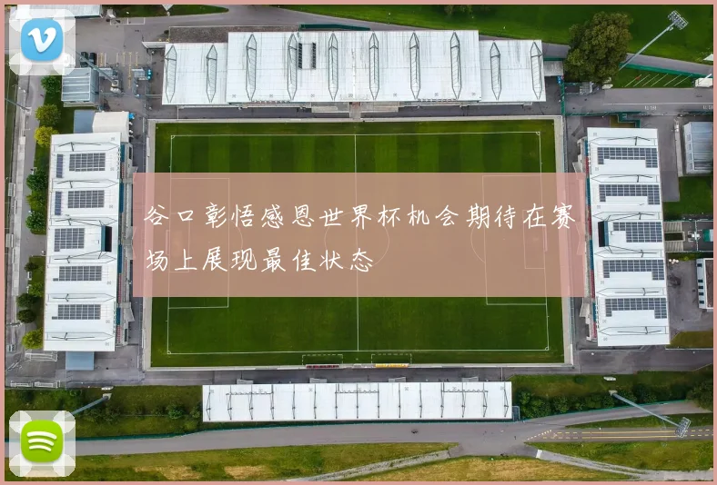 谷口彰悟感恩世界杯机会期待在赛场上展现最佳状态